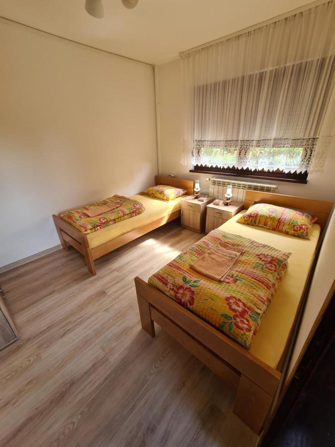 In Pavlovic Apartment Banja Koviljaca Exterior photo