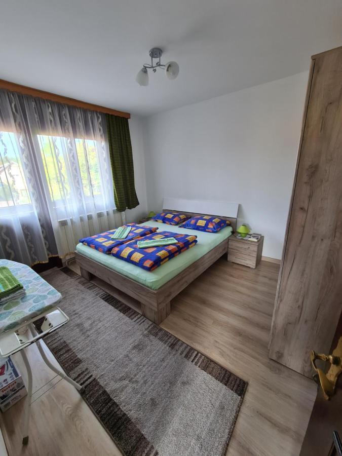 In Pavlovic Apartment Banja Koviljaca Exterior photo