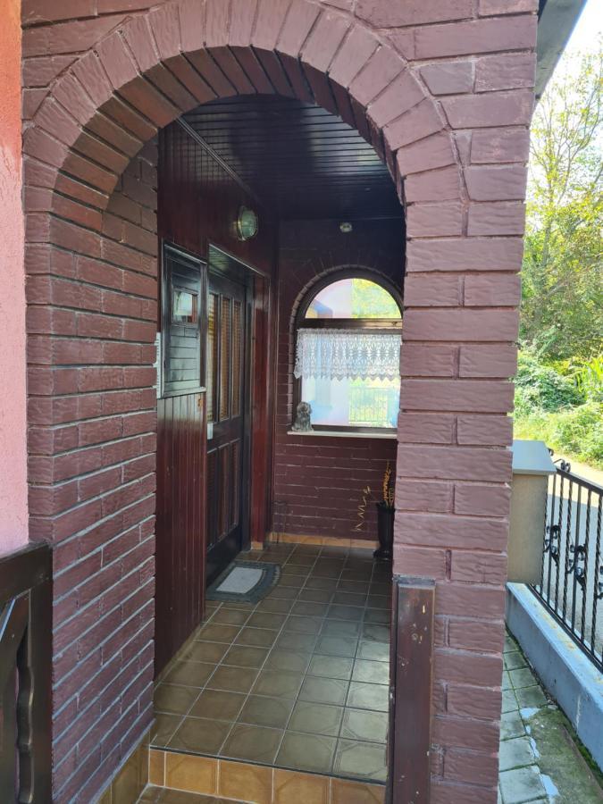 In Pavlovic Apartment Banja Koviljaca Exterior photo