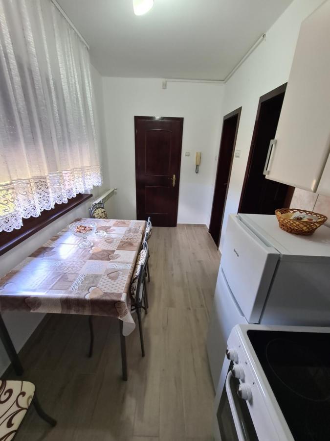 In Pavlovic Apartment Banja Koviljaca Exterior photo