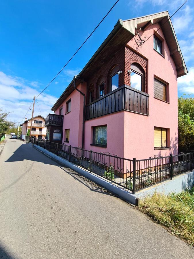 In Pavlovic Apartment Banja Koviljaca Exterior photo